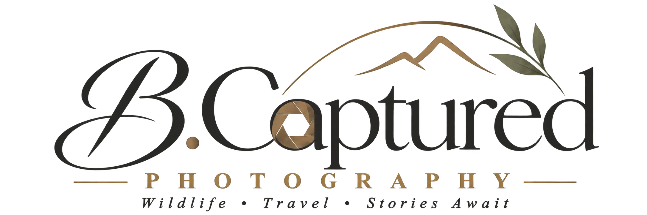 B.Captured Photography