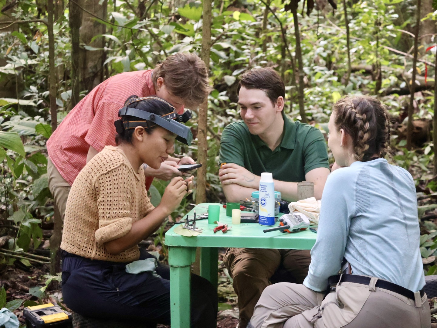 Field research team working at a table in the rainforest