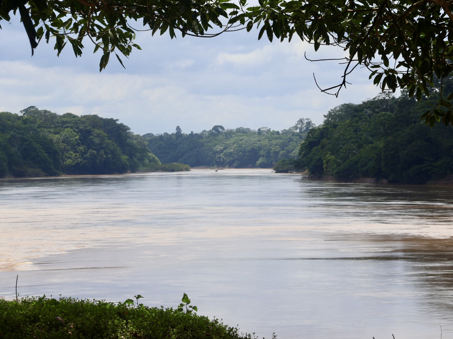 Wide rainforest river framed by trees